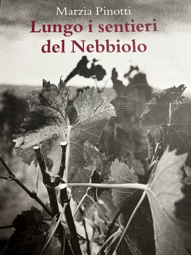 Lungo i sentieri del nebbiolo